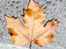 Ten-top-tips-for-healthy-Winter-skin